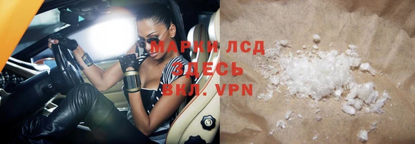 прущие грибы Балабаново