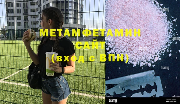 прущие грибы Балабаново