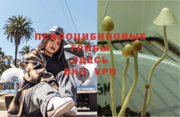твердый Баксан