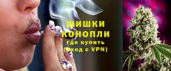 прущие грибы Балабаново