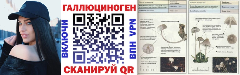 Псилоцибиновые грибы ЛСД  OMG ONION  Котельнич 